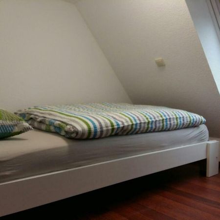 Ferienwohnung Am Schwanensee プレーン エクステリア 写真